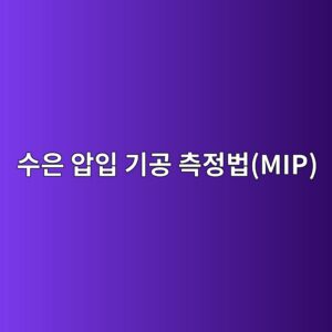 ec8898ec9d80 ec9595ec9e85 eab8b0eab3b5 ecb8a1eca095ebb295mip 1786544590