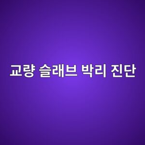 교량 슬래브 박리 진단: 적외선 열화상 카메라(Infrared Thermography)의 열패턴 반응 및 오차 보정 2 eab590eb9f89 ec8aaceb9e98ebb88c ebb095eba6ac eca784eb8ba8 1788501658