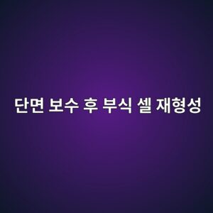 단면 보수 후 부식 셀 재형성(Anodic Ring Effect / Halo Effect) 원인 및 희생양극재 이식 기법 5 eb8ba8eba9b4 ebb3b4ec8898 ed9b84 ebb680ec8b9d ec8580 ec9eaced9895ec84b1 1788503839