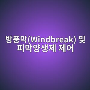 콘크리트 타설 후 수분 증발속도 1.0 kg/m²·hr 초과 시 방풍막(Windbreak) 및 피막양생제 제어 6 ebb0a9ed928deba789windbreak ebb08f ed94bceba789ec9691ec839deca09c eca09cec96b4 1788500499