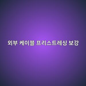 외부 케이블 프리스트레싱 보강 시 앵커리지(Anchorage) 국소 지압 파괴 방지용 수직 철근 배치 설계 2 ec99b8ebb680 ecbc80ec9db4ebb894 ed9484eba6acec8aa4ed8ab8eba088ec8bb1 ebb3b4eab095 1788503323