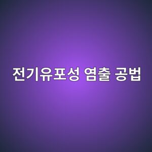 전기유포성 염출(Electrochemical Chloride Extraction) 공법을 통한 콘크리트 내 염민 제거 메커니즘 1 eca084eab8b0ec9ca0ed8facec84b1 ec97bcecb69c eab3b5ebb295 1788503425