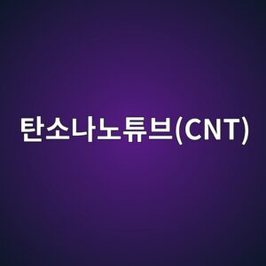 탄소나노튜브(CNT) 및 그래핀 산화물(GO) 분산 기술과 콘크리트의 계면 분극(Interfacial Polarization) 해석 5 ed8384ec868ceb8298eb85b8ed8a9cebb88ccnt 1788507183